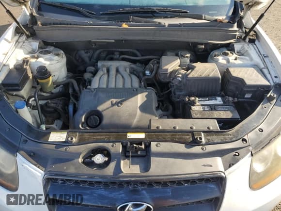 ✅ 2009 Hyundai Santa Fe GLS • VIN: 5NMSG73D29H323636 • Lot: 84383664. Listed on Copart with 230,114 mi. Free auction sales archive from the USA and detailed vehicle history report at DreamBid. Image 12.