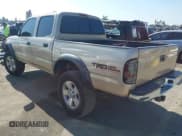 ✅ 2001 Toyota Tacoma PreRunner • VIN: 5TEGN92N71Z879074 • Lot: 43642008. Wystawiony na IAAI z przebiegiem 242 058 mil. Bezpłatny archiwum sprzedaży aukcyjnych z USA i szczegółowy raport historii pojazdu na DreamBid. Zdjęcie 3.