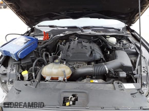 ✅ 2017 Ford Mustang EcoBoost • VIN: 1FA6P8TH0H5276964 • Lot: 43887829. Listed on IAAI with 109,271 mi. Free auction sales archive from the USA and detailed vehicle history report at DreamBid. Image 10.