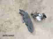 2023 Hyundai Kona SEL z VIN KM8K33AG8PU190593, wystawiony jako IAAI lot #43593572 z przebiegiem Nie podano mil oraz . Historia ofert i sprzedaży dostępna na DreamBid. Obrazek 10.