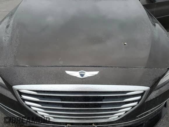 2015 Hyundai Genesis 3.8L with VIN KMHGN4JE9FU047199, listed as a Copart auction lot 82009455 with Not provided miles and Salvage title. Bid and sale history available at DreamBid. Image 11.