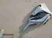 2023 Toyota Camry SE with VIN 4T1G11BK4PU093345, listed as a Copart auction lot 65518725 with 35,607 mi miles and Salvage title. Bid and sale history available at DreamBid. Image 12.