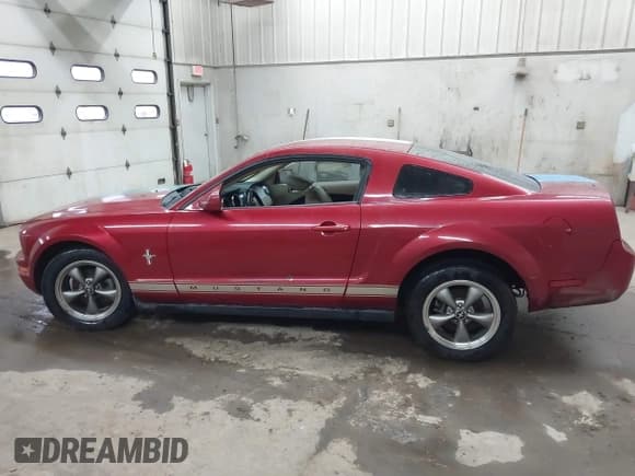 ✅ 2006 Ford Mustang Standard • VIN: 1ZVHT80N265230121 • Lot: 43731148. Listed on IAAI with Not provided. Free auction sales archive from the USA and detailed vehicle history report at DreamBid. Image 13.