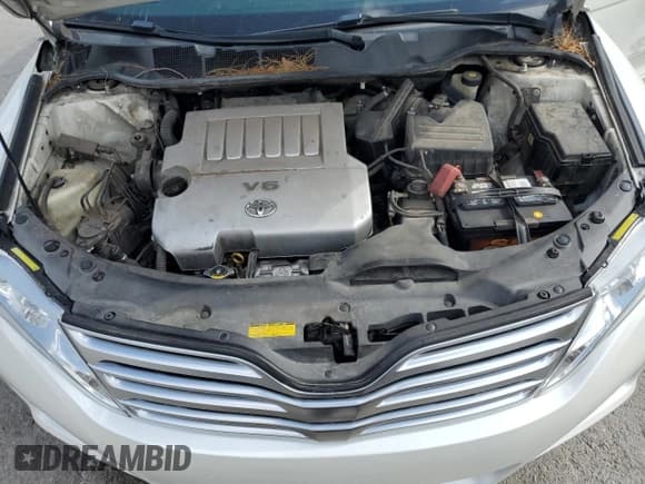 ✅ 2009 Toyota Venza • VIN: 4T3ZK11A19U008213 • Лот: 54328305. Опубликован ранее на Copart с пробегом 220 625 миль. Бесплатный доступ к архиву аукционных продаж из США и подробный отчёт об истории автомобиля на DreamBid. Изображение 11.