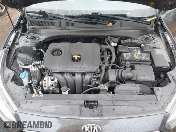 ✅ 2021 Kia Forte LXS • VIN: 3KPF24AD4ME411475 • Lot: 43248668. Wystawiony na IAAI z przebiegiem 50 683 mil. Bezpłatny archiwum sprzedaży aukcyjnych z USA i szczegółowy raport historii pojazdu na DreamBid. Zdjęcie 10.