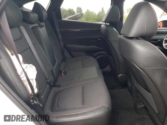 ✅ 2024 Hyundai Tucson N Line • VIN: KM8JFCD11RU167105 • Lot: 66616704. Wystawiony na Copart z przebiegiem 12 381 mil. Bezpłatny archiwum sprzedaży aukcyjnych z USA i szczegółowy raport historii pojazdu na DreamBid. Zdjęcie 10.