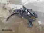 2020 Chevrolet Blazer RS z VIN 3GNKBKRS0LS548135, wystawiony jako Copart lot #72554354 z przebiegiem 35 987 mil mil oraz Szkoda całkowita • Salvage title. Historia ofert i sprzedaży dostępna na DreamBid. Obrazek 13.