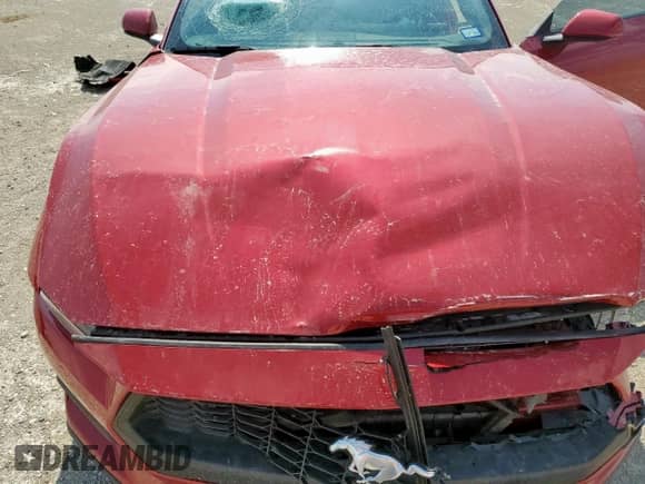 2024 Ford Mustang EcoBoost Premium z VIN 1FA6P8TH0R5113362, wystawiony jako Copart lot #68681865 z przebiegiem 8 508 mil mil oraz Czysty tytuł • Clean title. Historia ofert i sprzedaży dostępna na DreamBid. Obrazek 11.