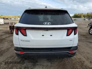 ✅ 2024 Hyundai Tucson SEL • VIN: KM8JBCDEXRU289203 • Lot: 75284494. Wystawiony na Copart z przebiegiem 13 197 mil. Bezpłatny archiwum sprzedaży aukcyjnych z USA i szczegółowy raport historii pojazdu na DreamBid. Zdjęcie 6.