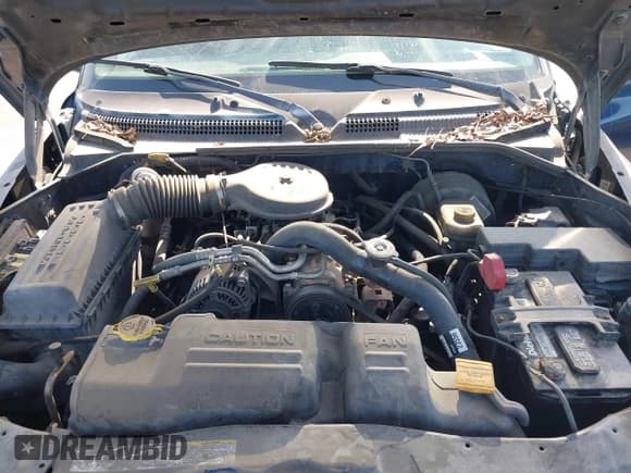 ✅ 2003 Dodge Dakota SLT • VIN: 1D7HL48X23S367452 • Lot: 42959947. Wystawiony na IAAI z przebiegiem 198 631 mil. Bezpłatny archiwum sprzedaży aukcyjnych z USA i szczegółowy raport historii pojazdu na DreamBid. Zdjęcie 10.