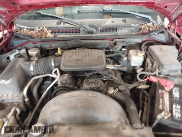 2009 Dodge Dakota ST с VIN 1D7HE22K19S778068, выставлен на аукционе IAAI как лот 42262243 с пробегом 209 487 миль миль и . История ставок и продаж доступна на DreamBid. Изображение 10.