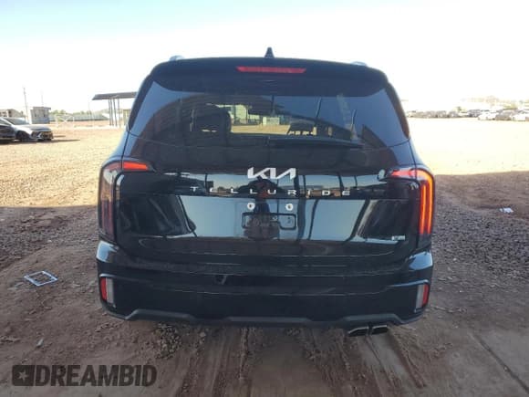 ✅ 2024 Kia Telluride SX X-Pro • VIN: 5XYP5DGC2RG507464 • Lot: 89888605. Listed on Copart with 28,142 mi. Free auction sales archive from the USA and detailed vehicle history report at DreamBid. Image 6.