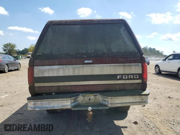 ✅ 1996 Ford F-150 • VIN: 1FTEX14N8TKA40297 • Lot: 71630905. Listed on Copart with 99,367 mi. Free auction sales archive from the USA and detailed vehicle history report at DreamBid. Image 6.