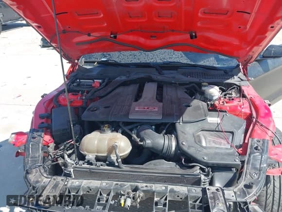 ✅ 2019 Ford Mustang GT Premium • VIN: 1FA6P8CFXK5150570 • Lot: 43412433. Listed on IAAI with 107,720 mi. Free auction sales archive from the USA and detailed vehicle history report at DreamBid. Image 10.