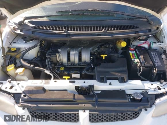 ✅ 1999 Dodge Caravan SE • VIN: 1B4GP44L3XB859469 • Lot: 43680740. Wystawiony na IAAI z przebiegiem 161 635 mil. Bezpłatny archiwum sprzedaży aukcyjnych z USA i szczegółowy raport historii pojazdu na DreamBid. Zdjęcie 10.