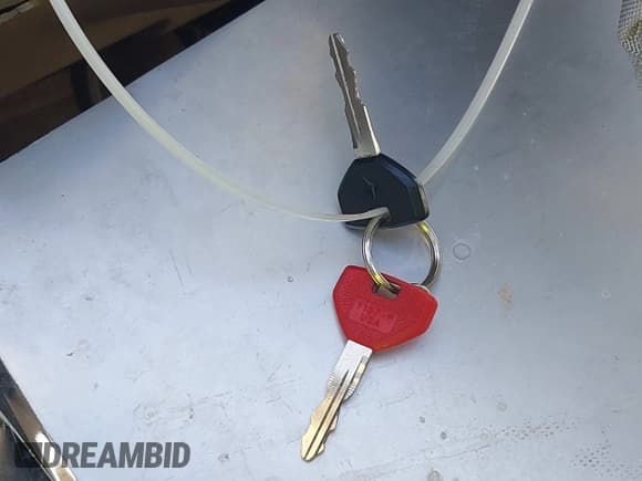 ✅ 1996 Dodge 1500 • VIN: 1B7HC16Z6TS550124 • Лот: 43575387. Опубликован ранее на IAAI с пробегом 238 844 миль. Бесплатный доступ к архиву аукционных продаж из США и подробный отчёт об истории автомобиля на DreamBid. Изображение 11.