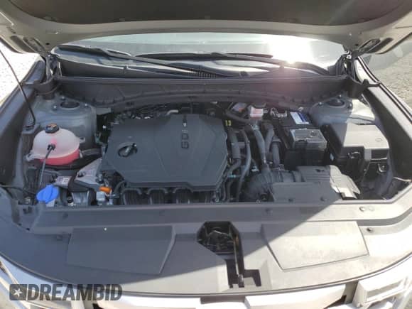 2022 Hyundai Santa Cruz SEL с VIN 5NTJB4AE6NH009524, выставлен на аукционе Copart как лот 50343705 с пробегом 47 567 миль миль и Списание • Salvage title. История ставок и продаж доступна на DreamBid. Изображение 12.