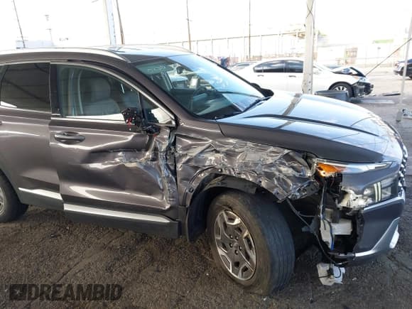 ✅ 2021 Hyundai Santa Fe Blue • VIN: KM8S2DA12MU006345 • Lot: 41505836. Listed on IAAI with 96,446 mi. Free auction sales archive from the USA and detailed vehicle history report at DreamBid. Image 6.