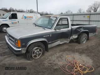 1987 Dodge Dakota z VIN 1B7GN14M2HS368408, wystawiony jako Copart lot #46088905 z przebiegiem 116 497 mil mil oraz Szkoda całkowita • Salvage title. Historia ofert i sprzedaży dostępna na DreamBid. Obrazek 1.