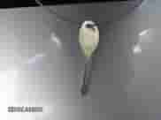 2004 Dodge Neon SXT z VIN 1B3ES56C04D504384, wystawiony jako IAAI lot #41988581 z przebiegiem 166 602 mil mil oraz . Historia ofert i sprzedaży dostępna na DreamBid. Obrazek 11.