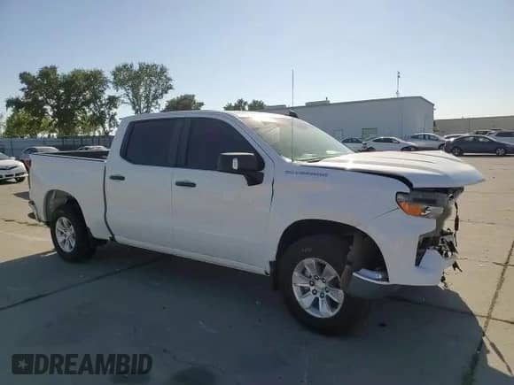 2022 Chevrolet Silverado 1500 Work Truck with VIN 3GCUDAED8NG568281, listed as a Copart auction lot 67176993 with 24,606 mi miles and Salvage title. Bid and sale history available at DreamBid. Image 11.