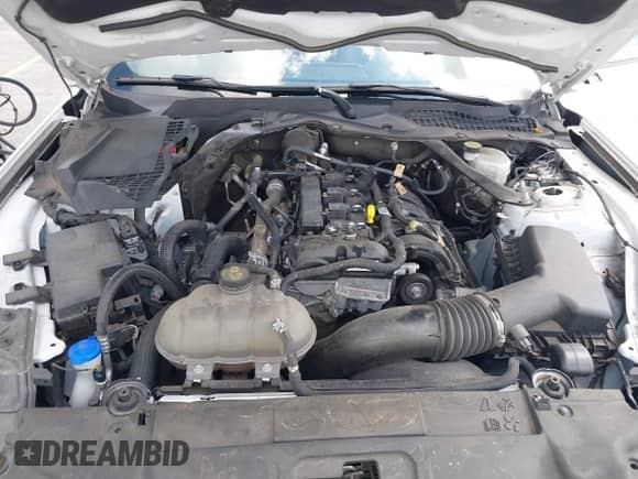 2023 Ford Mustang EcoBoost with VIN 1FATP8UH6P5105734, listed as a IAAI auction lot 43493168 with 67,596 mi miles and . Bid and sale history available at DreamBid. Image 10.