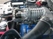 ✅ 2012 Ford Mustang Shelby GT500 • VIN: 1ZVBP8JS0C5212081 • Lot: 42443883. Listed on IAAI with 40,878 mi. Free auction sales archive from the USA and detailed vehicle history report at DreamBid. Image 21.