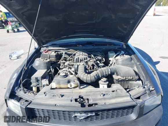 ✅ 2007 Ford Mustang Deluxe • VIN: 1ZVFT80NX75300411 • Лот: 43453183. Опубликован ранее на IAAI с пробегом 161 559 миль. Бесплатный доступ к архиву аукционных продаж из США и подробный отчёт об истории автомобиля на DreamBid. Изображение 10.