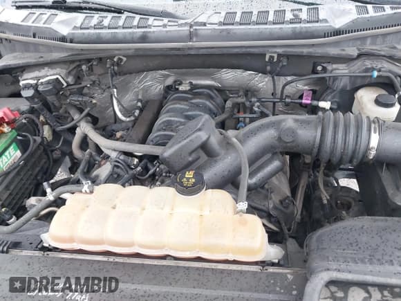 ✅ 2016 Ford F-150 XLT • VIN: 1FTFW1EFXGFB18804 • Lot: 42215957. Listed on IAAI with 237,702 mi. Free auction sales archive from the USA and detailed vehicle history report at DreamBid. Image 10.