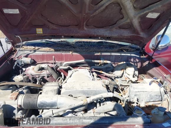 ✅ 2004 Toyota Tundra SR5 • VIN: 5TBBT44144S452409 • Lot: 43724552. Listed on IAAI with 196,613 mi. Free auction sales archive from the USA and detailed vehicle history report at DreamBid. Image 10.