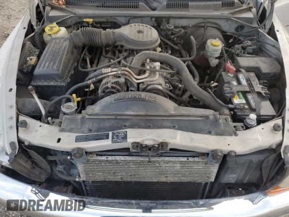 ✅ 1999 Dodge Dakota SLT • VIN: 1B7GG22Y3XS275370 • Lot: 81568994. Wystawiony na Copart z przebiegiem 241 945 mil. Bezpłatny archiwum sprzedaży aukcyjnych z USA i szczegółowy raport historii pojazdu na DreamBid. Zdjęcie 11.