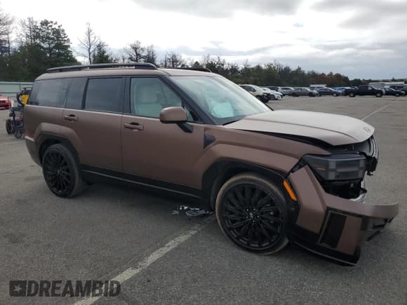✅ 2024 Hyundai Santa Fe Calligraphy • VIN: 5NMP5DGL1RH054489 • Lot: 81032475. Listed on Copart with 8,863 mi. Free auction sales archive from the USA and detailed vehicle history report at DreamBid. Image 4.