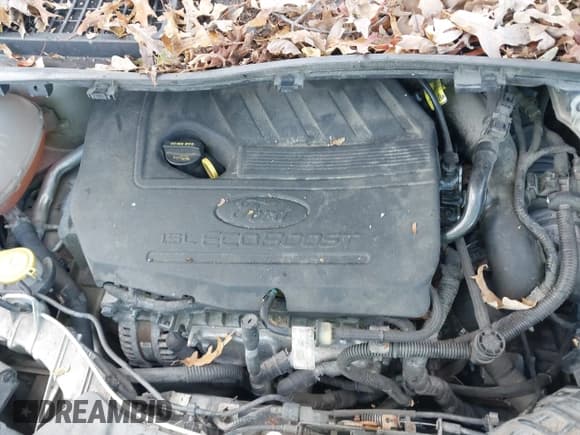 ✅ 2017 Ford Escape SE • VIN: 1FMCU9GD9HUC58130 • Lot: 43610717. Listed on IAAI with 147,188 mi. Free auction sales archive from the USA and detailed vehicle history report at DreamBid. Image 10.