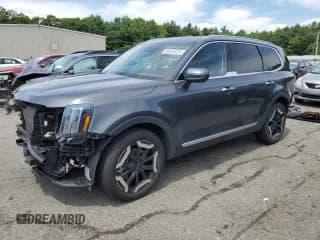 ✅ 2023 Kia Telluride S • VIN: 5XYP64GC7PG347205 • Lot: 60654025. Wystawiony na Copart z przebiegiem 34 991 mil. Bezpłatny archiwum sprzedaży aukcyjnych z USA i szczegółowy raport historii pojazdu na DreamBid. Zdjęcie 1.