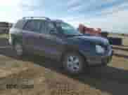 2005 Hyundai Santa Fe GLS с VIN KM8SC73D95U989158, выставлен на аукционе Copart как лот 49439485 с пробегом 151 332 миль миль и Списание • Salvage title. История ставок и продаж доступна на DreamBid. Изображение 4.