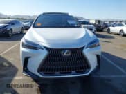 ✅ 2024 Lexus NX 350 Luxury • VIN: JTJHGCEZ0R2012039 • Lot: 43662159. Listed on IAAI with 10,536 mi. Free auction sales archive from the USA and detailed vehicle history report at DreamBid. Image 13.