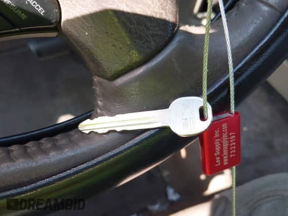 2003 Dodge 1500 ST z VIN 1D7HA18N63S175714, wystawiony jako IAAI lot #42850796 z przebiegiem 223 440 mil mil oraz . Historia ofert i sprzedaży dostępna na DreamBid. Obrazek 11.