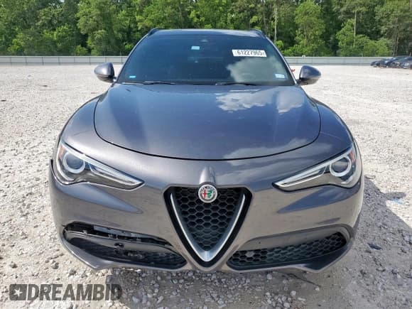 ✅ 2019 Alfa Romeo Stelvio Ti Sport • VIN: ZASPAKBN3K7C42699 • Lot: 61227965. Wystawiony na Copart z przebiegiem 47 046 mil. Bezpłatny archiwum sprzedaży aukcyjnych z USA i szczegółowy raport historii pojazdu na DreamBid. Zdjęcie 5.