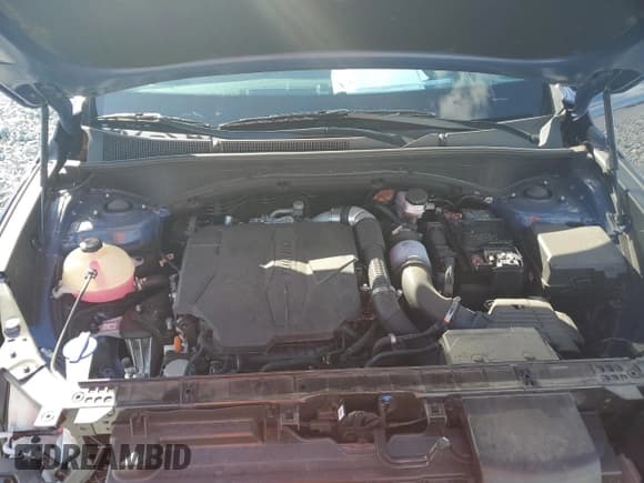 ✅ 2023 Hyundai Santa Fe Calligraphy • VIN: 5NMS54AL6PH544085 • Lot: 85893895. Listed on Copart with 39,264 mi. Free auction sales archive from the USA and detailed vehicle history report at DreamBid. Image 12.