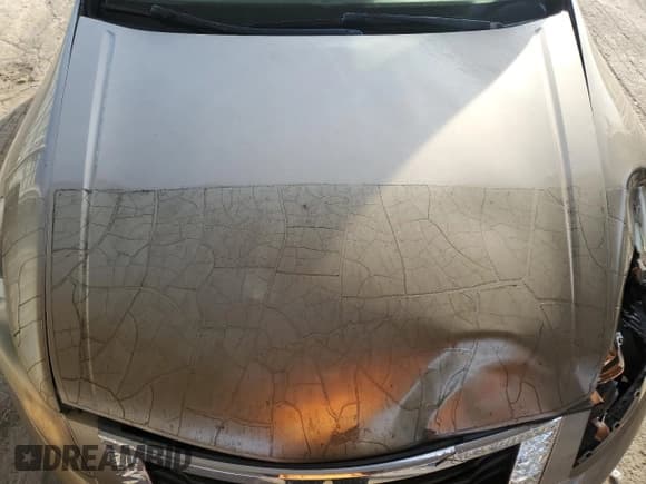 ✅ 2008 Honda Accord EX-L • VIN: 1HGCP26838A052571 • Lot: 87377865. Wystawiony na Copart z przebiegiem 184 597 mil. Bezpłatny archiwum sprzedaży aukcyjnych z USA i szczegółowy raport historii pojazdu na DreamBid. Zdjęcie 11.