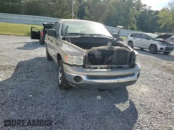 ✅ 2004 Dodge 1500 SLT • VIN: 1D7HA18N44S687635 • Лот: 74901254. Опубликован ранее на Copart с пробегом Не указан. Бесплатный доступ к архиву аукционных продаж из США и подробный отчёт об истории автомобиля на DreamBid. Изображение 11.