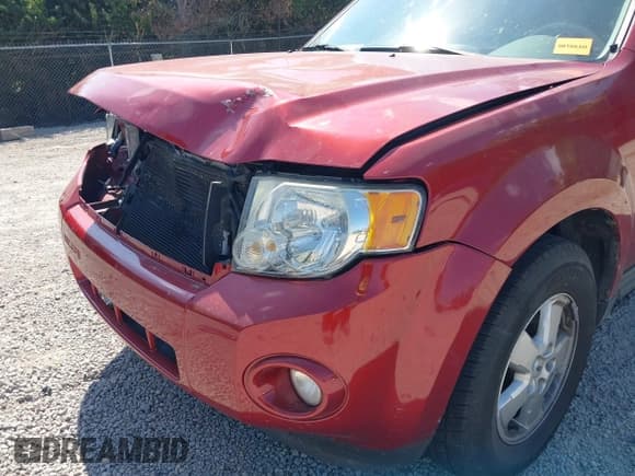 ✅ 2009 Ford Escape XLT • VIN: 1FMCU03759KD01743 • Лот: 43255286. Опубликован ранее на IAAI с пробегом 165 423 миль. Бесплатный доступ к архиву аукционных продаж из США и подробный отчёт об истории автомобиля на DreamBid. Изображение 18.