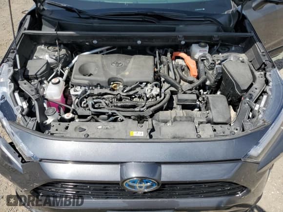 ✅ 2023 Toyota RAV4 Hybrid XSE • VIN: 2T3E6RFV8PW041879 • Lot: 64232295. Listed on Copart with 19,654 mi. Free auction sales archive from the USA and detailed vehicle history report at DreamBid. Image 12.