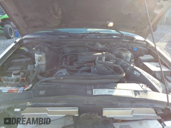 ✅ 2001 Chevrolet Blazer LT • VIN: 1GNDT13W212167763 • Lot: 41997079. Wystawiony na IAAI z przebiegiem 173 050 mil. Bezpłatny archiwum sprzedaży aukcyjnych z USA i szczegółowy raport historii pojazdu na DreamBid. Zdjęcie 10.