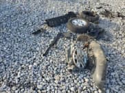 ✅ 2023 Jeep Grand Cherokee Altitude • VIN: 1C4RJGAG3PC535003 • Lot: 84381544. Listed on Copart with Not provided. Free auction sales archive from the USA and detailed vehicle history report at DreamBid. Image 13.