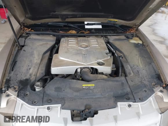 ✅ 2006 Cadillac STS • VIN: 1G6DW677560132141 • Lot: 42439166. Listed on IAAI with 116,496 mi. Free auction sales archive from the USA and detailed vehicle history report at DreamBid. Image 10.