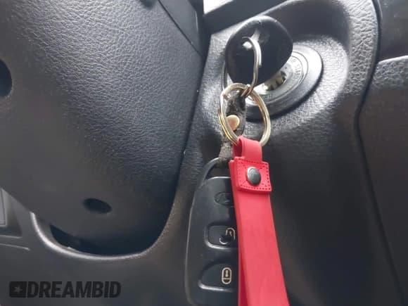 ✅ 2009 Hyundai Santa Fe SE • VIN: 5NMSH73E39H279698 • Lot: 43627061. Listed on IAAI with 185,779 mi. Free auction sales archive from the USA and detailed vehicle history report at DreamBid. Image 11.