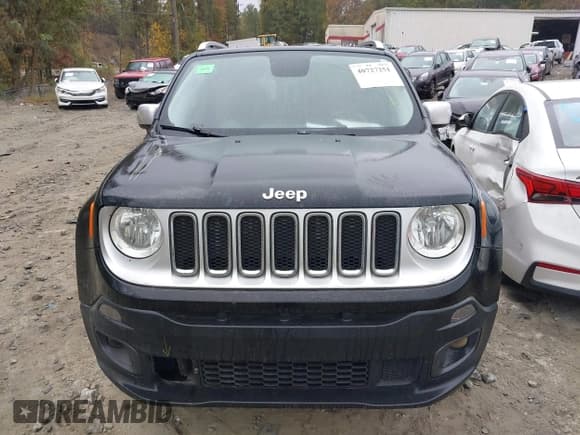 ✅ 2017 Jeep Renegade Limited • VIN: ZACCJBDB0HPE97445 • Лот: 40727251. Опубликован ранее на IAAI с пробегом 120 235 миль. Бесплатный доступ к архиву аукционных продаж из США и подробный отчёт об истории автомобиля на DreamBid. Изображение 12.