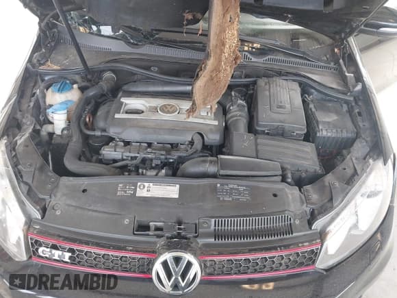 ✅ 2010 Volkswagen Golf GTI • VIN: WVWFD7AJ4AW136502 • Lot: 43175508. Listed on IAAI with 78,284 mi. Free auction sales archive from the USA and detailed vehicle history report at DreamBid. Image 10.