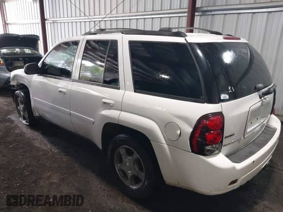 2009 Chevrolet TrailBlazer 1LT с VIN 1GNDT33SX92133266, выставлен на аукционе IAAI как лот 42072499 с пробегом 113 060 миль миль и . История ставок и продаж доступна на DreamBid. Изображение 3.